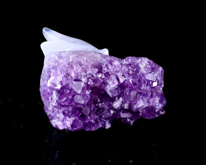 1.7" Amethyst Druse Agate Hand Carved Crystal Dragon Skull Sculpture Crystallumi