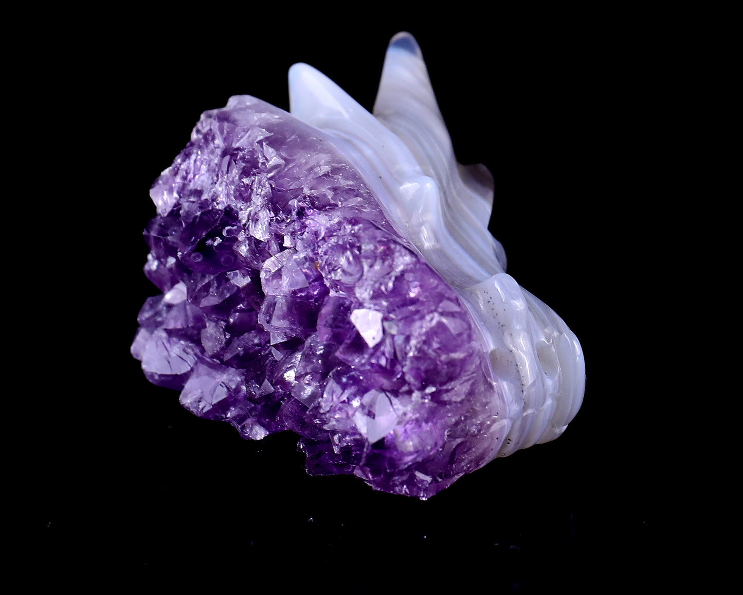 1.7" Amethyst Druse Agate Hand Carved Crystal Dragon Skull Sculpture Crystallumi