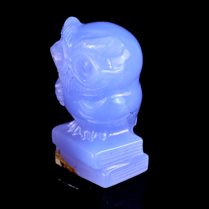 1.9" Blue Chalcedony Hand Carved Crystal Owl Sculpture Crystallumi