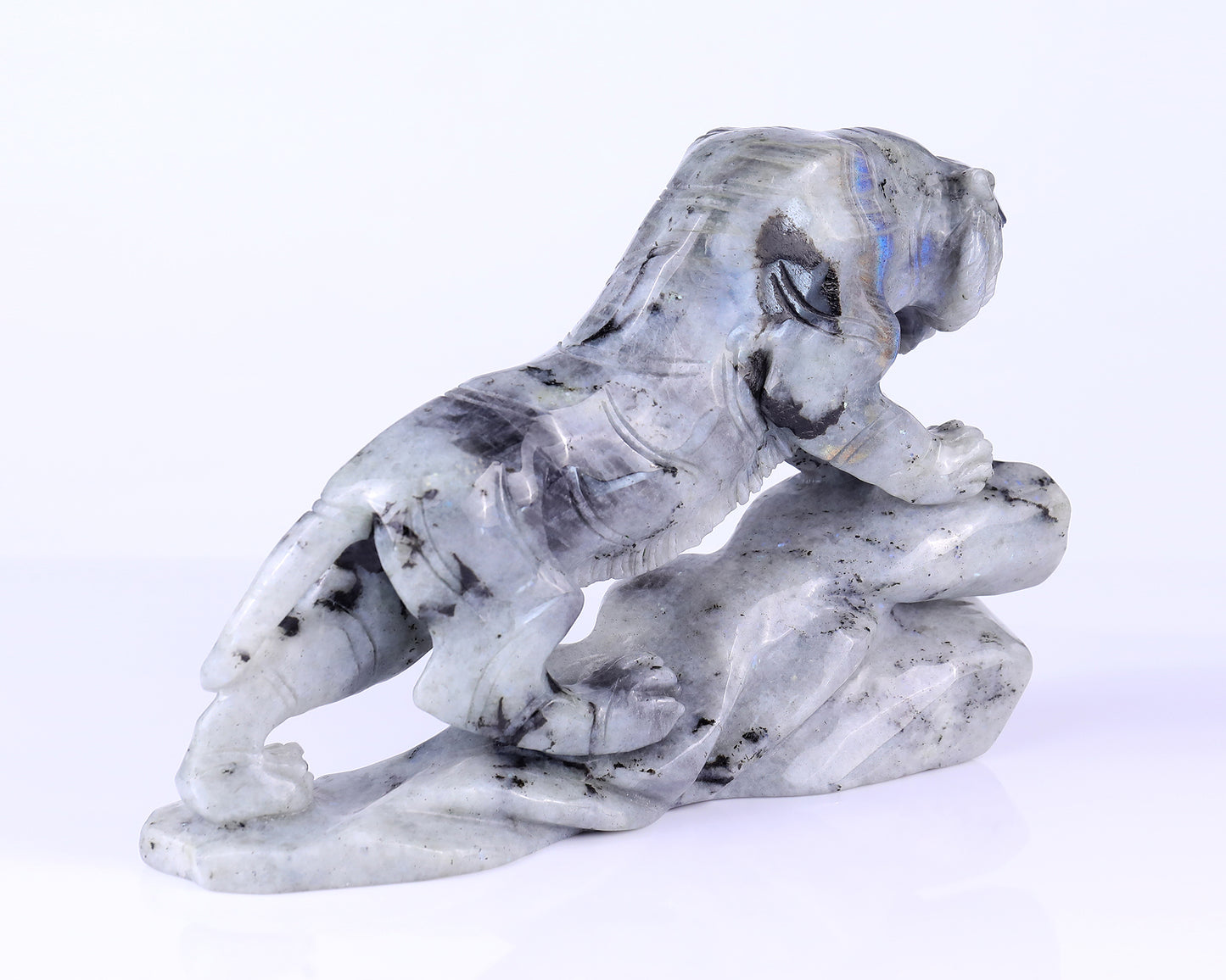 10.2" Labradorite Hand Carved Crystal Tiger Sculpture Crystallumi