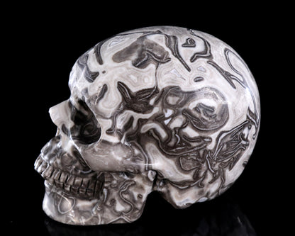 4.4" Black Crazy Agate Hand Carved Crystal Skull Sculpture