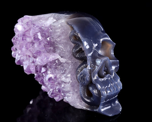 6.3" Amethyst Druse Agate Hand Carved Crystal Skull and Snake Sculpture