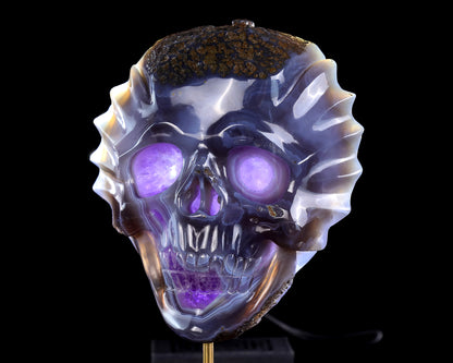 7.0" Amethyst Druse Agate Hand Carved Crystal Skull Sculpture