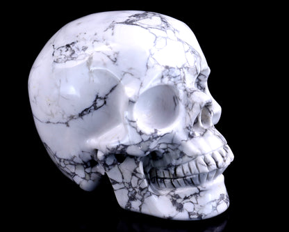 4.3" Howlite Hand Carved Crystal Realistic Skull Sculpture