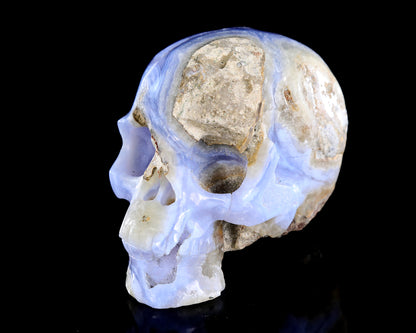 5.2" Blue Lace Agate Hand Carved Crystal Skull Sculpture