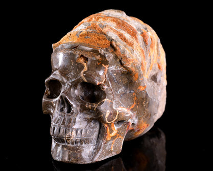 5.6" Foraminifera Fossil Hand Carved Crystal Skull Sculpture