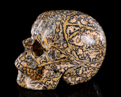 3.0" Leopard Skin Jasper Hand Carved Crystal Skull Sculpture