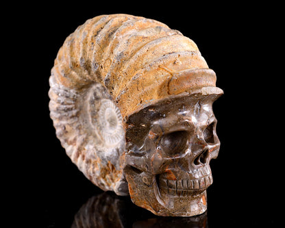 5.2" Foraminifera Fossil Hand Carved Crystal Skull Sculpture