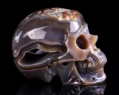 6.1" Red Chalcedony Hand Carved Crystal Geode Skull Sculpture