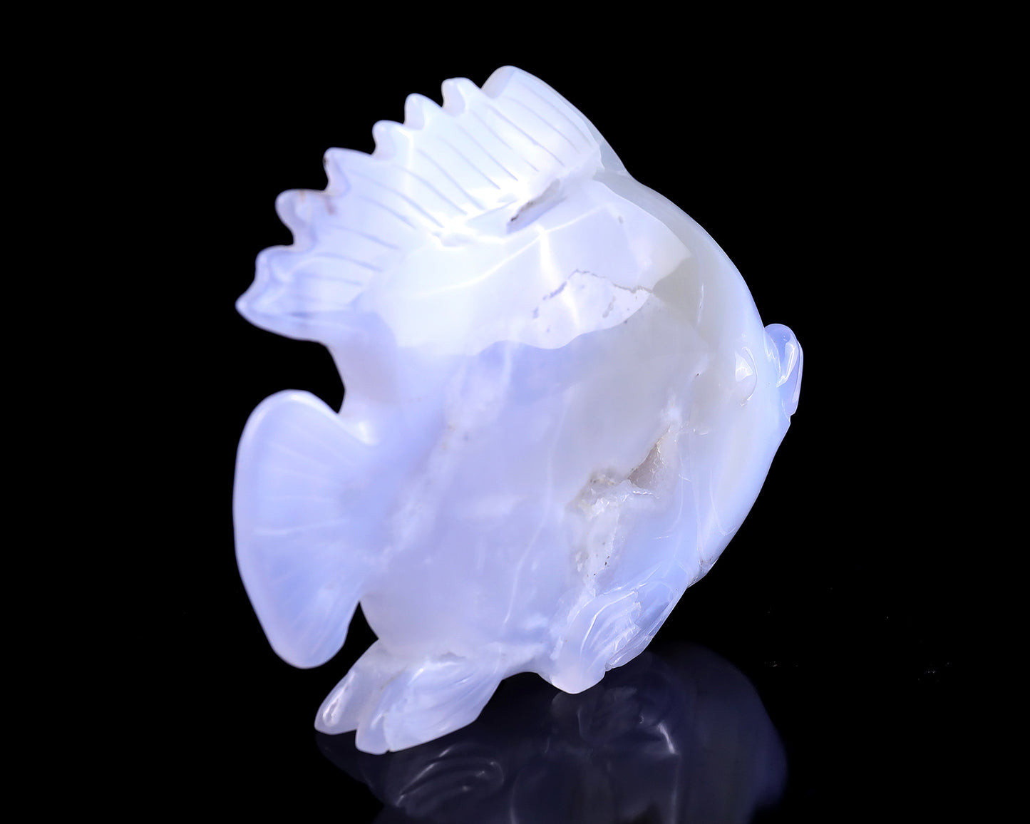 5.1" Blue Chalcedony Hand Carved Crystal Golden Fish Sculpture