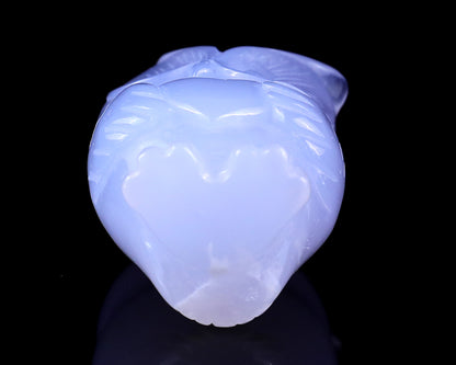 2.0" Blue Chalcedony Hand Carved Crystal Owl Sculpture Crystallumi