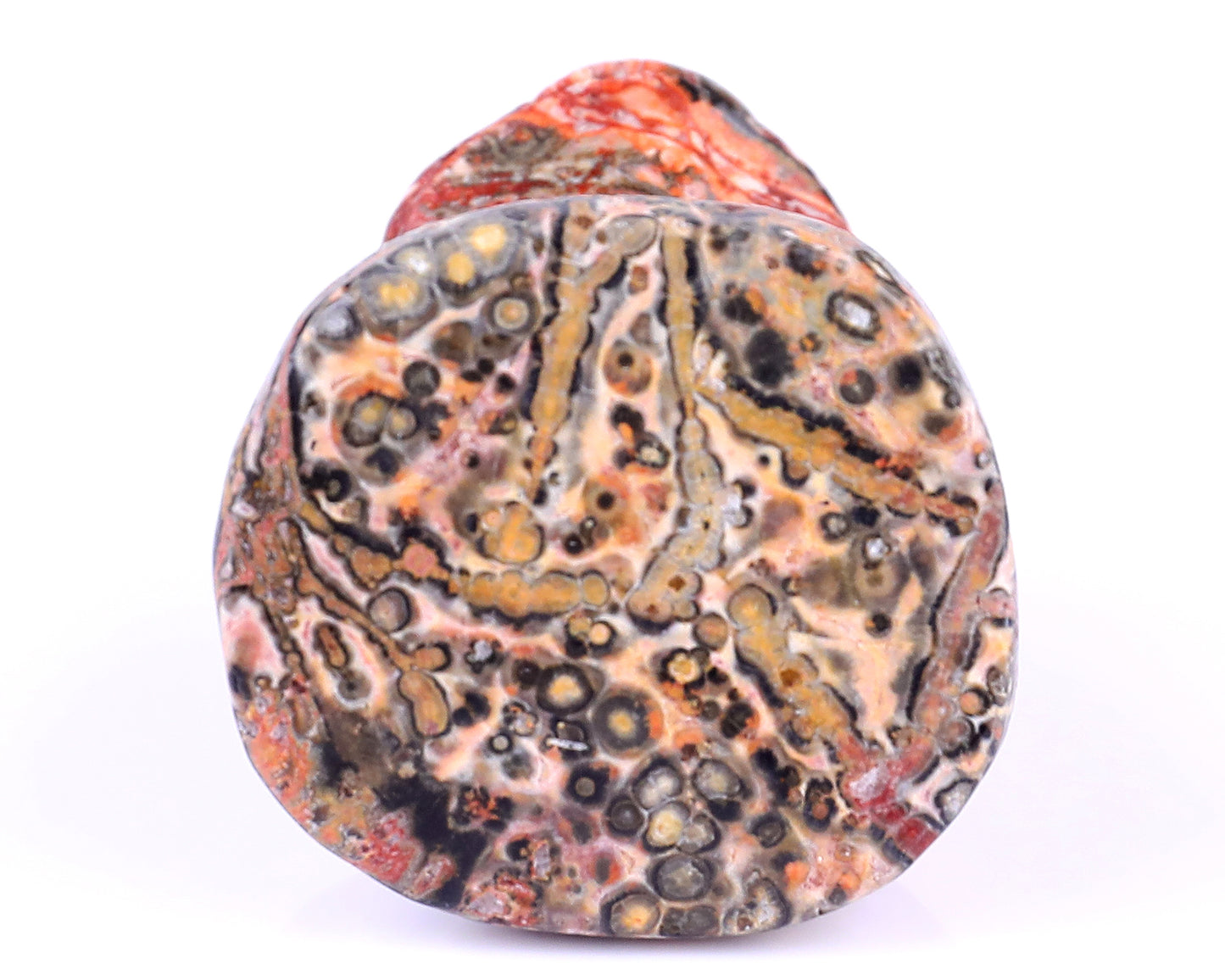 2.0" Leopard Skin Jasper Hand Carved Crystal Frog Sculpture Crystallumi