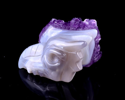 2.1" Amethyst Druse Agate Hand Carved Crystal Phoenix Skull Sculpture Crystallumi