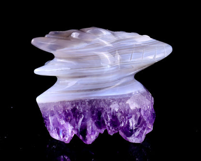 2.1" Amethyst Druse Agate Hand Carved Crystal Phoenix Skull Sculpture Crystallumi