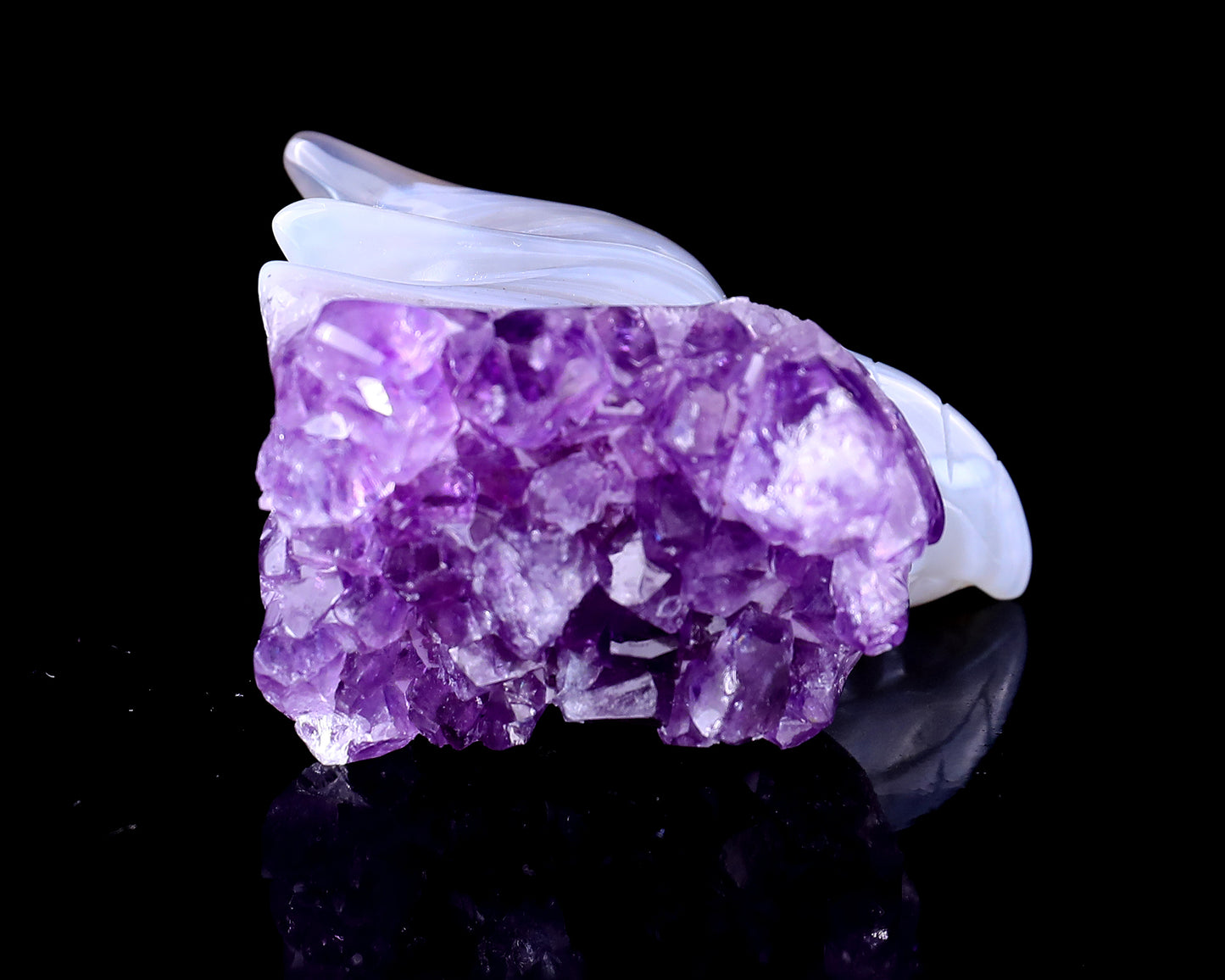 2.1" Amethyst Druse Agate Hand Carved Crystal Phoenix Skull Sculpture Crystallumi