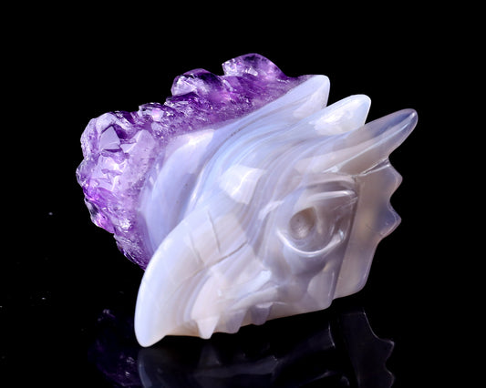 2.1" Amethyst Druse Agate Hand Carved Crystal Phoenix Skull Sculpture Crystallumi