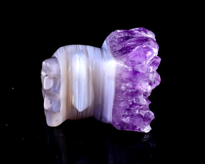 2.1" Amethyst Druse Agate Hand Carved Crystal Phoenix Skull Sculpture Crystallumi