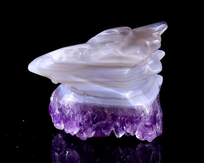 2.1" Amethyst Druse Agate Hand Carved Crystal Phoenix Skull Sculpture Crystallumi