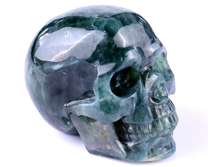 2.2" Blue Apatite Hand Carved Crystal Realistic Skull Sculpture Crystallumi