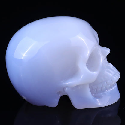 2.2" Blue Chalcedony Hand Carved Crystal Realistic Skull Sculpture Crystallumi