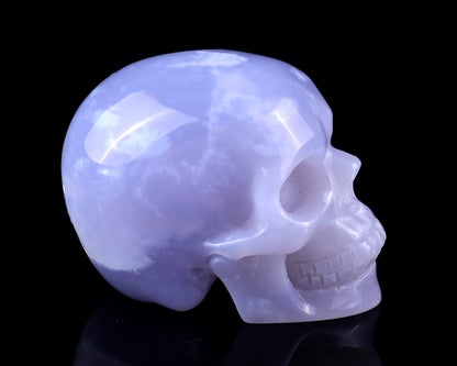 2.2" Blue Chalcedony Hand Carved Crystal Realistic Skull Sculpture Crystallumi