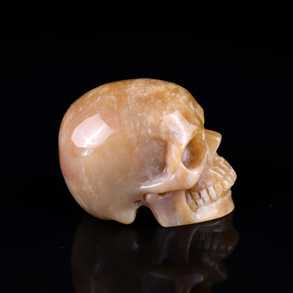 2.2" Chalcedony Hand Carved Crystal Realistic Skull Sculpture Crystallumi