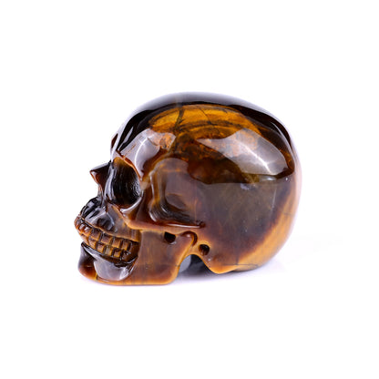 2.2" Gold Tiger Eye Hand Carved Crystal Realistic Skull Sculpture Crystallumi