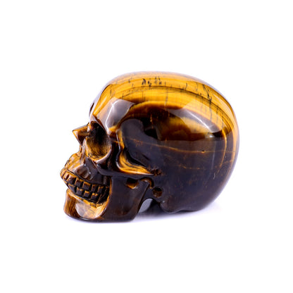 2.2" Gold Tiger Eye Hand Carved Crystal Realistic Skull Sculpture Crystallumi