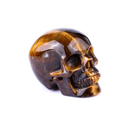 2.2" Gold Tiger Eye Hand Carved Crystal Realistic Skull Sculpture Crystallumi