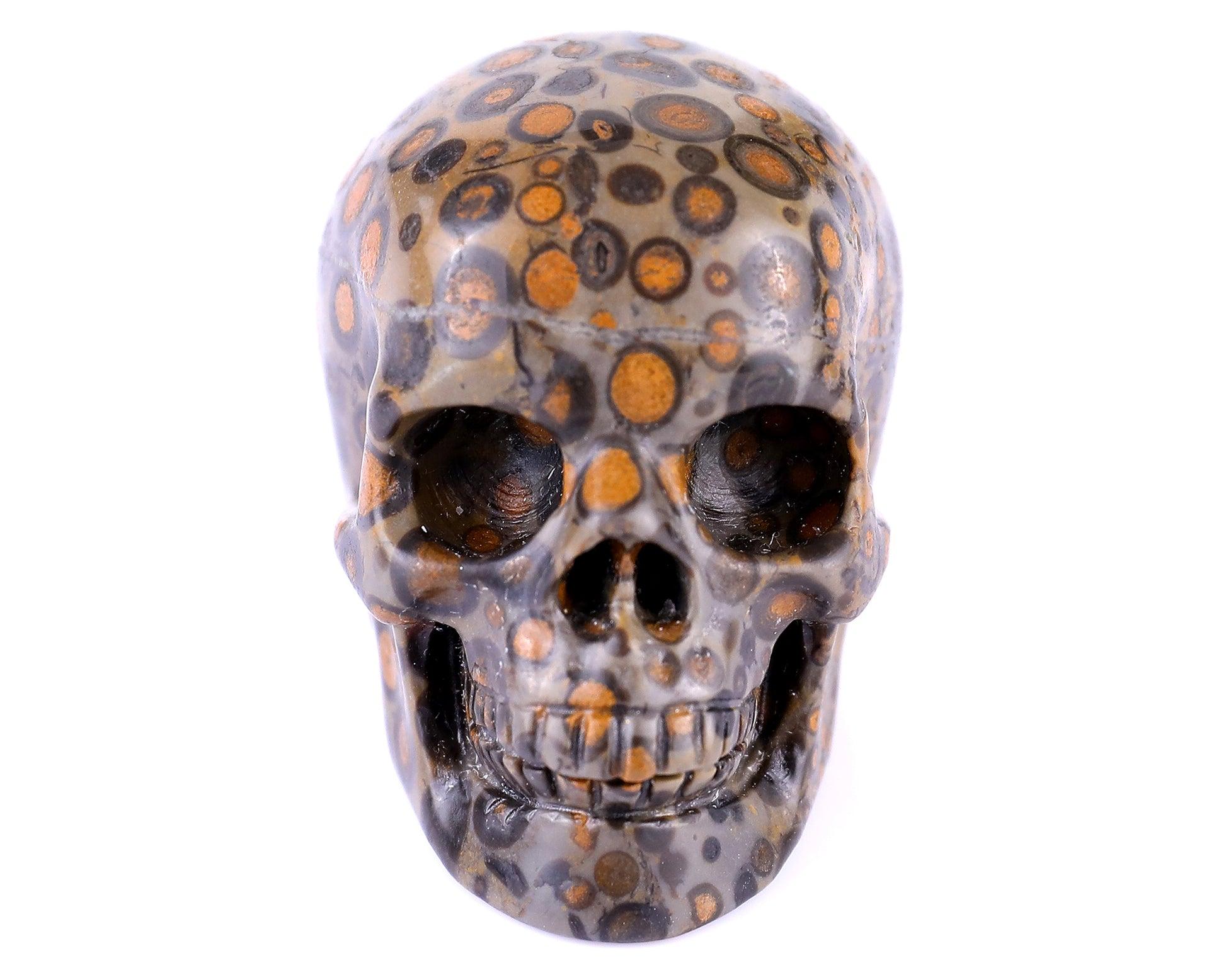 2.2" Leopard Skin Jasper Hand Carved Crystal Realistic Skull Sculpture Crystallumi