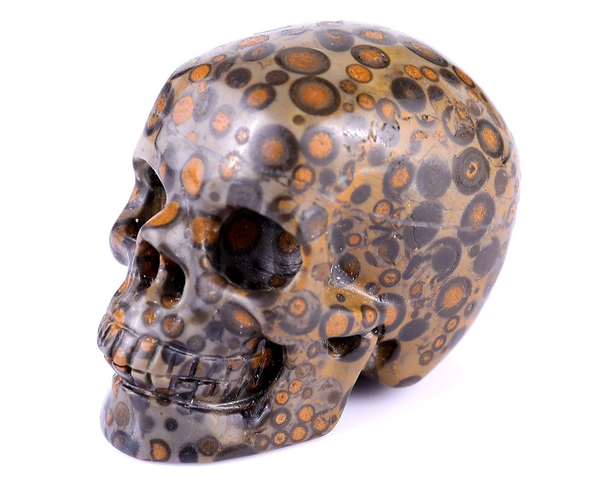 2.2" Leopard Skin Jasper Hand Carved Crystal Realistic Skull Sculpture Crystallumi