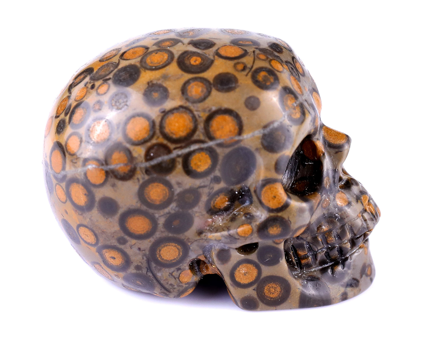 2.2" Leopard Skin Jasper Hand Carved Crystal Realistic Skull Sculpture Crystallumi