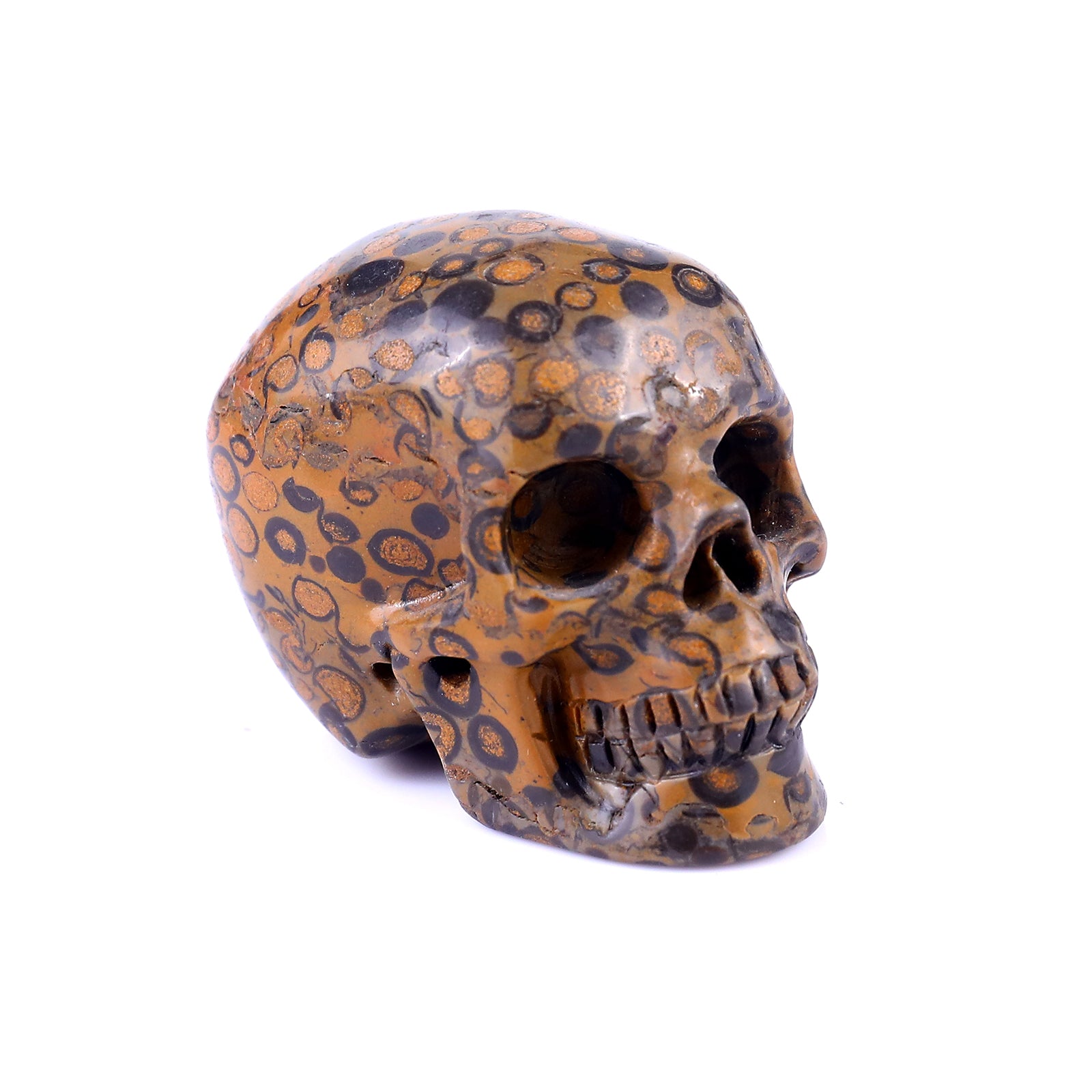 2.2" Leopard Skin Jasper Hand Carved Crystal Realistic Skull Sculpture Crystallumi