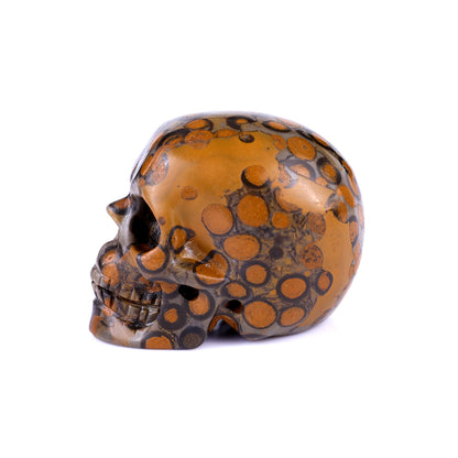 2.2" Leopard Skin Jasper Hand Carved Crystal Realistic Skull Sculpture Crystallumi