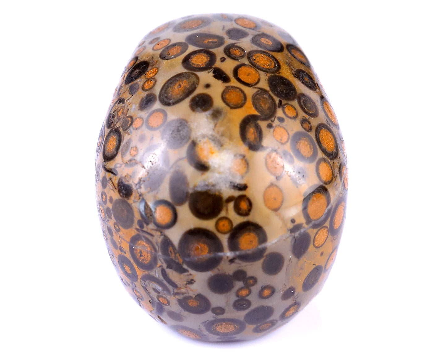 2.2" Leopard Skin Jasper Hand Carved Crystal Realistic Skull Sculpture Crystallumi