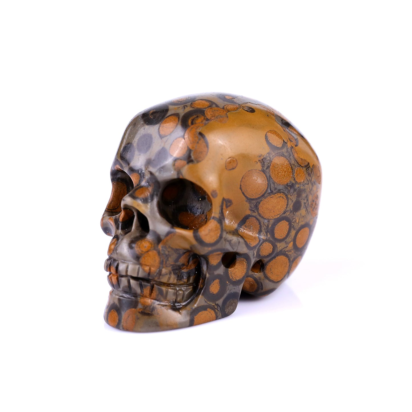 2.2" Leopard Skin Jasper Hand Carved Crystal Realistic Skull Sculpture Crystallumi