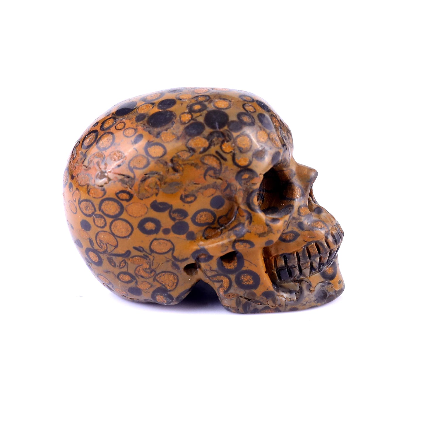 2.2" Leopard Skin Jasper Hand Carved Crystal Realistic Skull Sculpture Crystallumi