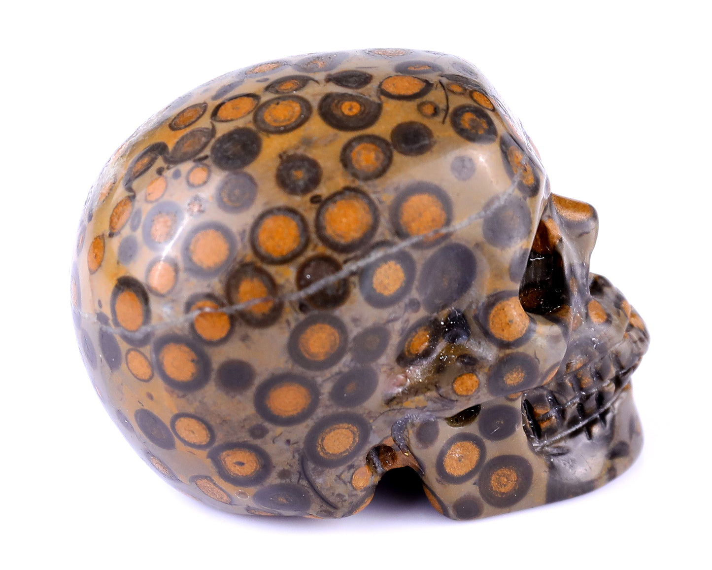 2.2" Leopard Skin Jasper Hand Carved Crystal Realistic Skull Sculpture Crystallumi