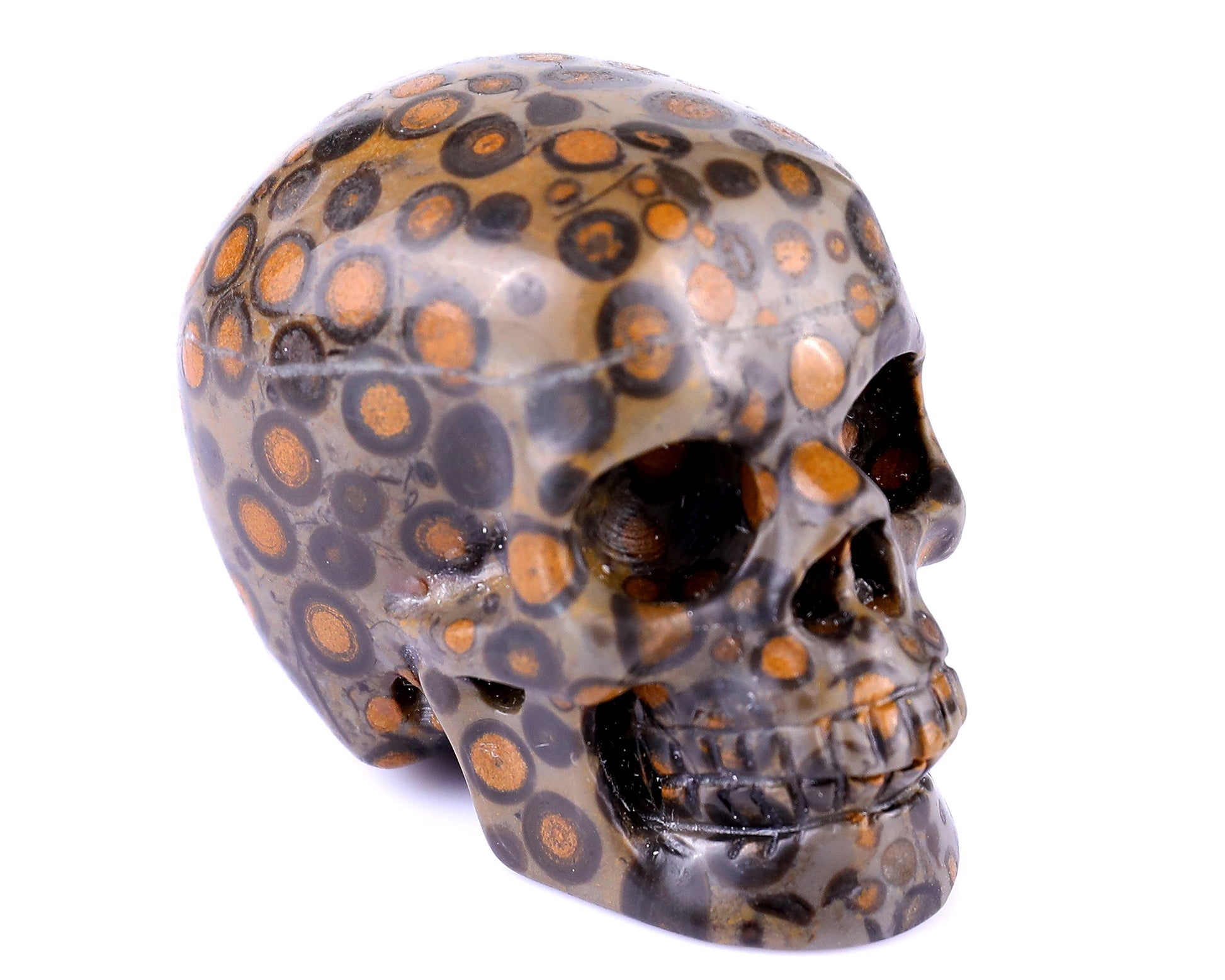 2.2" Leopard Skin Jasper Hand Carved Crystal Realistic Skull Sculpture Crystallumi