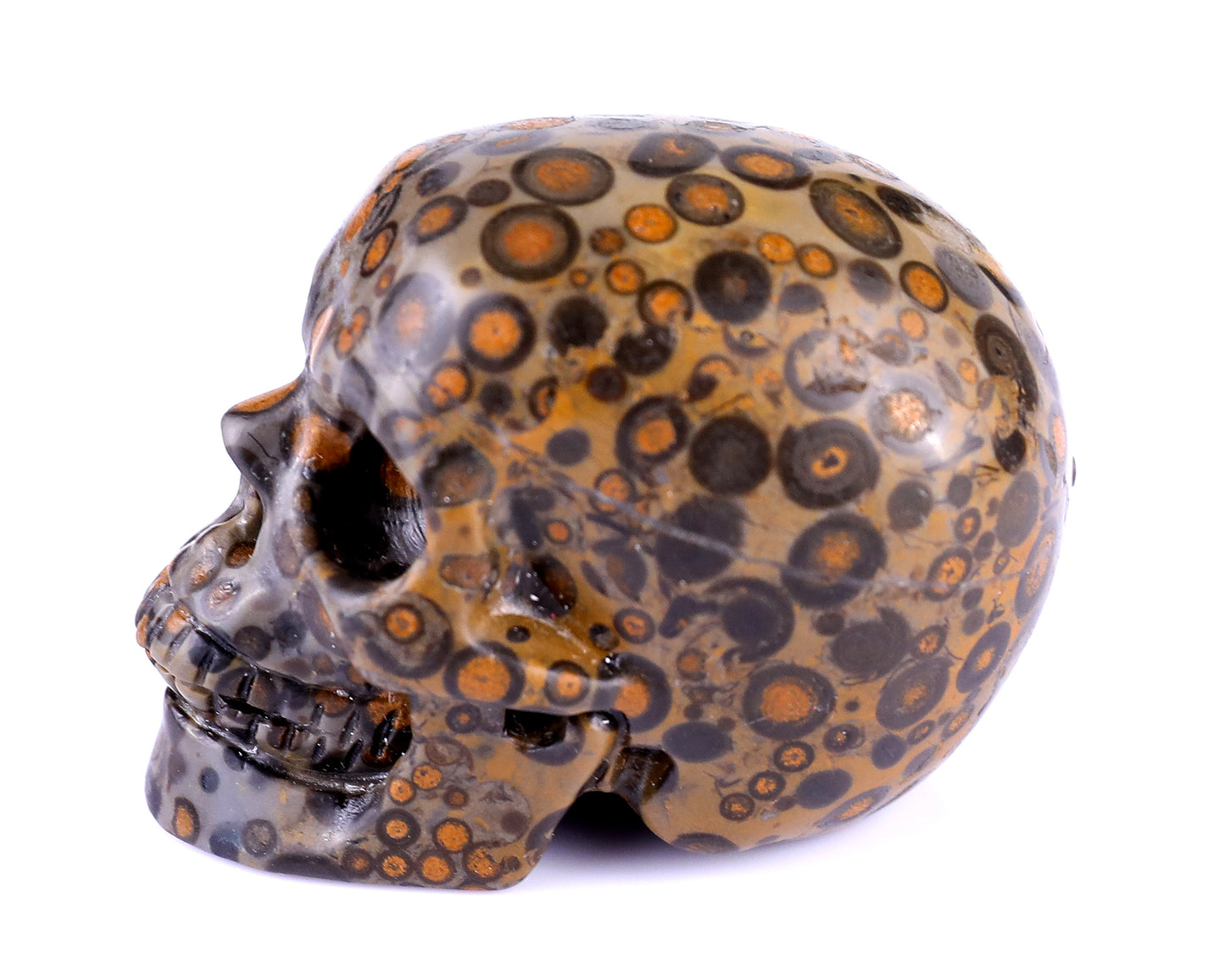 2.2" Leopard Skin Jasper Hand Carved Crystal Realistic Skull Sculpture Crystallumi