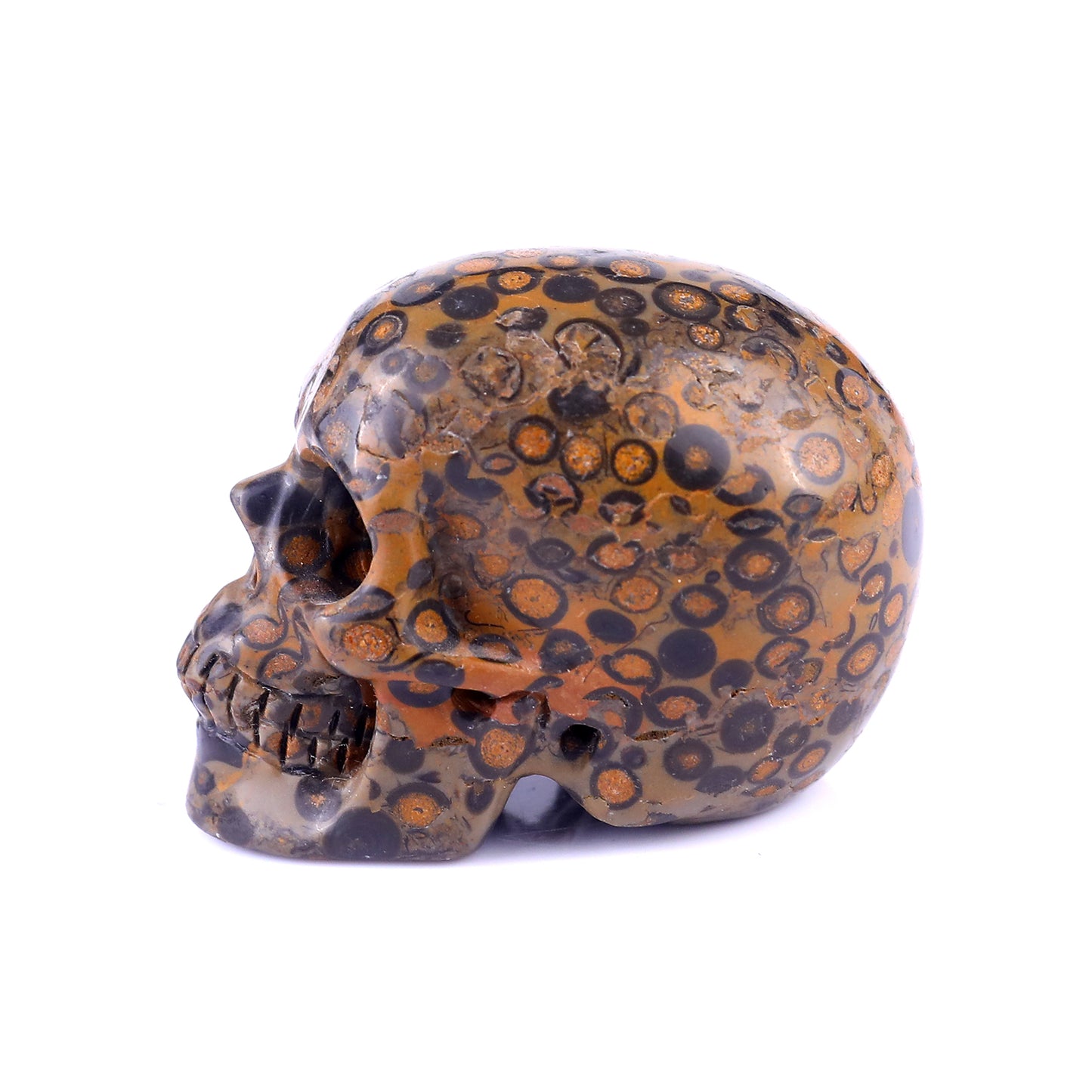 2.2" Leopard Skin Jasper Hand Carved Crystal Realistic Skull Sculpture Crystallumi