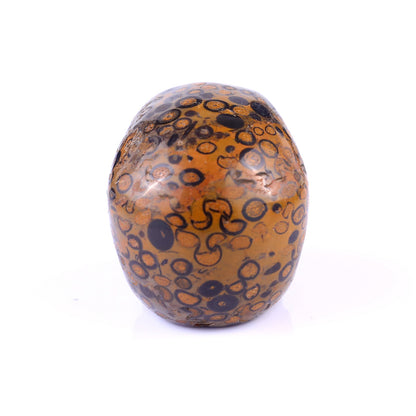 2.2" Leopard Skin Jasper Hand Carved Crystal Realistic Skull Sculpture Crystallumi