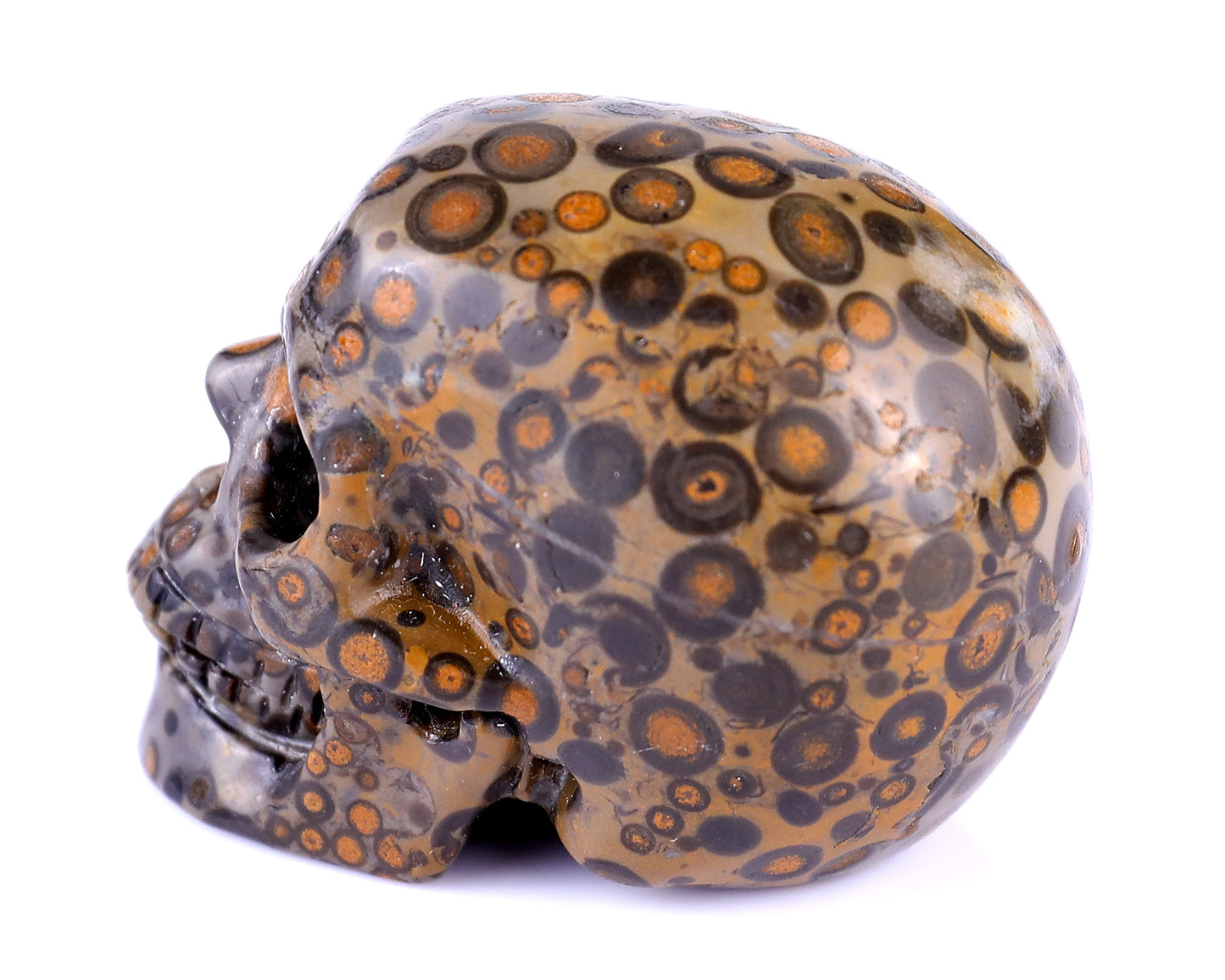 2.2" Leopard Skin Jasper Hand Carved Crystal Realistic Skull Sculpture Crystallumi