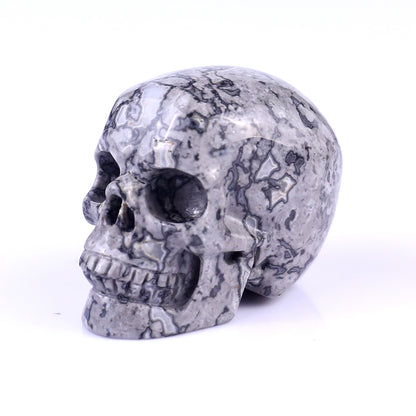 2.2" Map Jasper Hand Carved Crystal Realistic Skull Sculpture Crystallumi