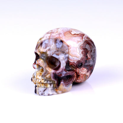 2.2" Red Crazy Lace Agate Hand Carved Crystal Realistic Skull Sculpture Crystallumi