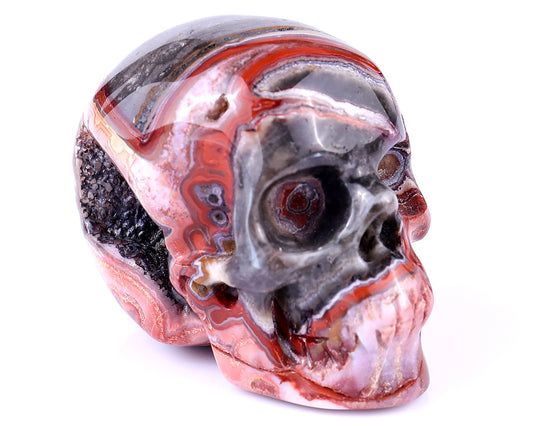 2.2" Red Crazy Lace Agate Hand Carved Crystal Realistic Skull Sculpture Crystallumi