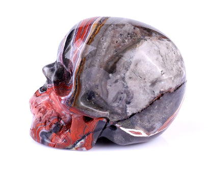 2.2" Red Crazy Lace Agate Hand Carved Crystal Realistic Skull Sculpture Crystallumi