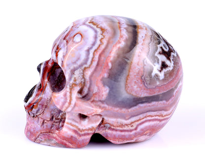 2.2" Red Crazy Lace Agate Hand Carved Crystal Realistic Skull Sculpture Crystallumi