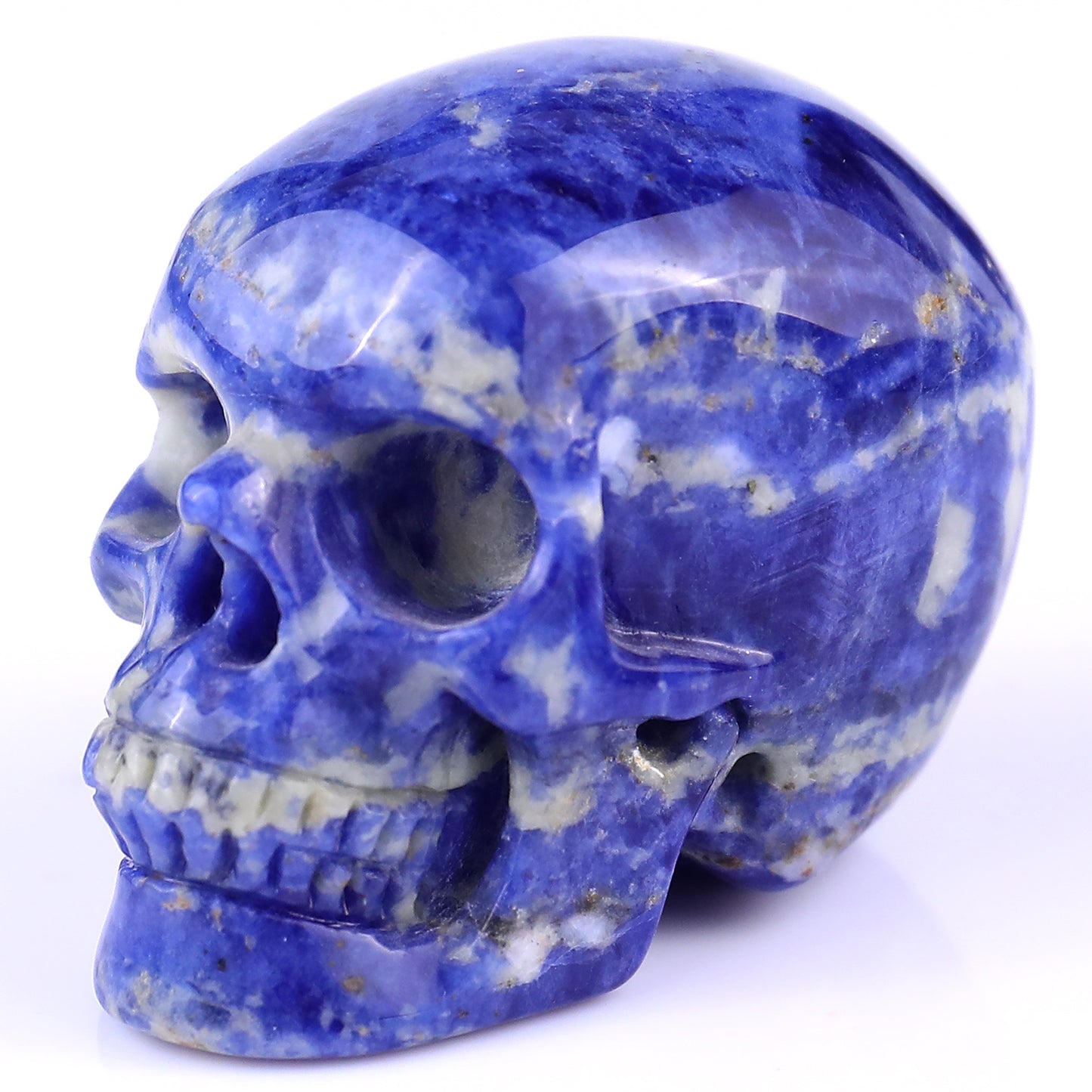 2.2" Sodalite Hand Carved Crystal Realistic Skull Sculpture Crystallumi