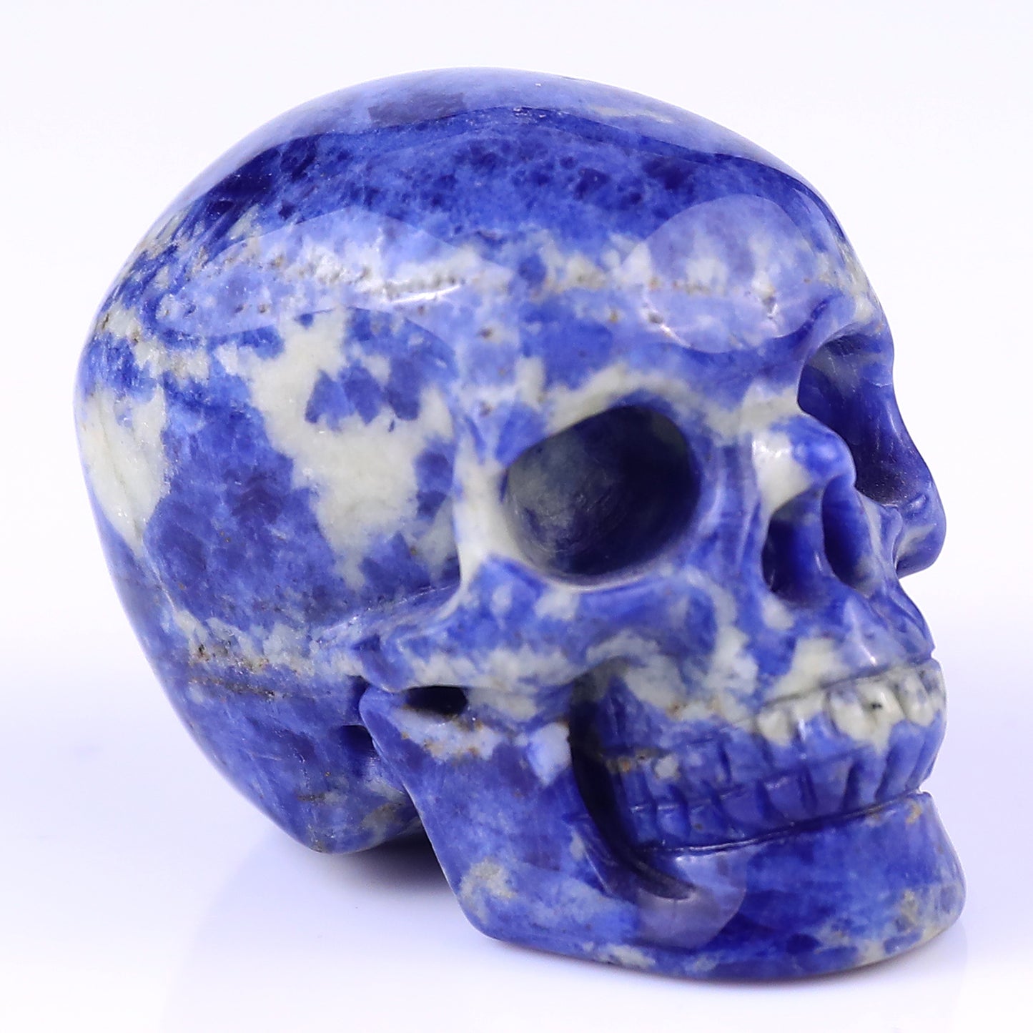 2.2" Sodalite Hand Carved Crystal Realistic Skull Sculpture Crystallumi